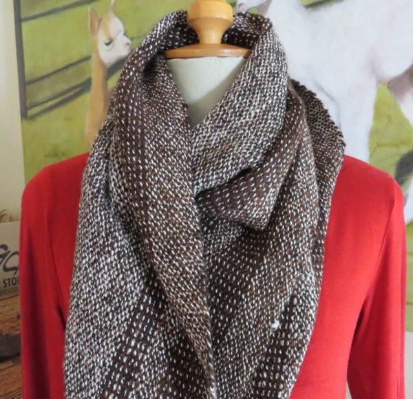 Chocolate and White In-betweener