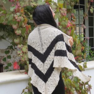 Zebra shawl