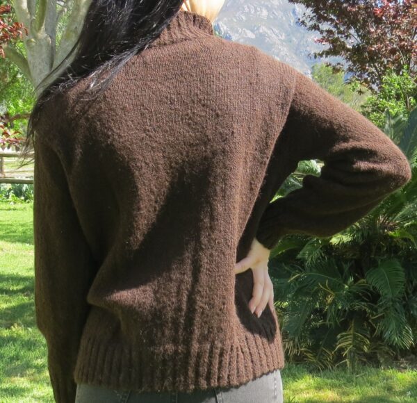 Chocco Iris jersey - Image 3